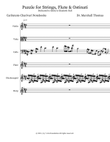 Puzzle for Strings, Flute & Ostinati