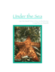 Under The Sea