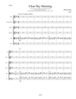 Clear Sky Morning for strings, flute and clarinet