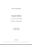 F. Borne: Carmen fantasy (Flute and strings)