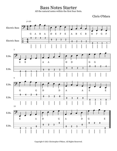Bass Notes Starter