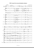 V120. Concert for voice and orchestra