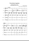 Una furtiva lagrima - Strings and voice