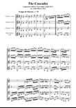 Cascades Rag