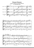 Pleasant Moments - Ragtime Waltz