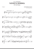 Nessun Dorma for String Quartet