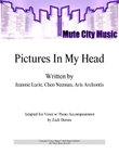 Pictures In My Head