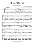 Ave Maria on Bach Cello Suite for Soprano & Cello