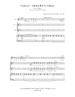 The 23rd Psalm - Adonai Roi