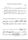 Sonatina for Contrabass and Piano