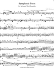 Symphonic Poem (parts)