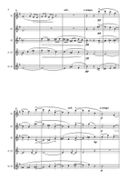 Minuet on the name of Haydn By Ravel. Flute Quintet Woodwind Ensemble scores gallery preview page 5