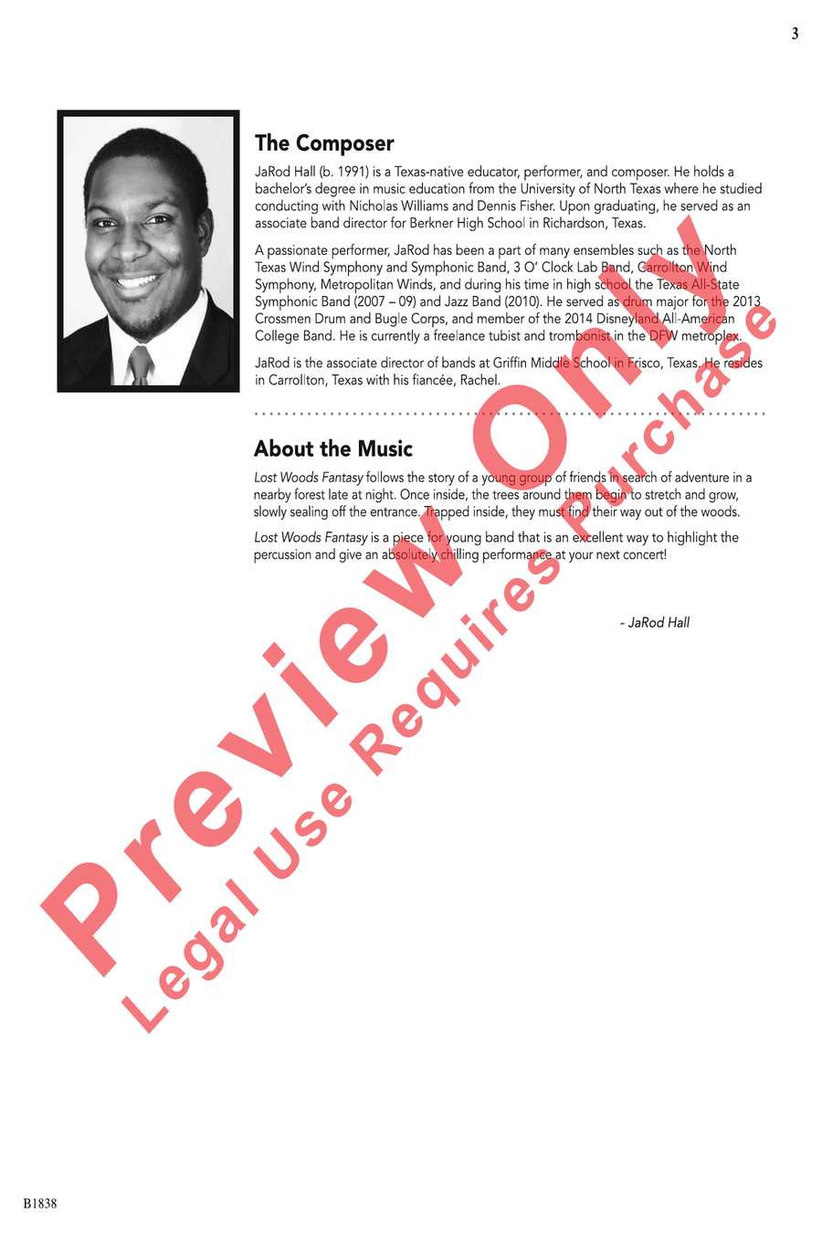 Lost Woods Fantasy Lost Woods Fantasy Concert Band scores gallery preview page 3