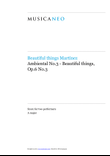 Ambiental No.3-Beautiful things Op.6 No.3