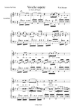 Voi che sapete, for voice and accordion