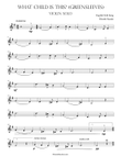 Greensleeves (What Child Is This?) for Violin Solo