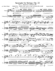 Dvorak Serenade for Strings part 1 - Violin/Cello duet