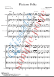 Pizzicato polka - Woodwind Quintet (score & parts)