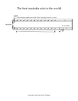 The Best Marimba Solo in the World