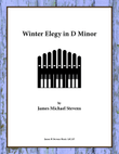 Winter Elegy in D Minor - Organ Solo mini preview