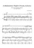 FLUTE Excerpt - A Midsummer Night's Dream Scherzo (WITH piano)