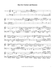Duet for Clarinet and Bassoon