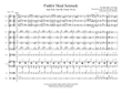 Puddinhead Serenade