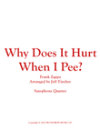 Why Does It Hurt When I Pee