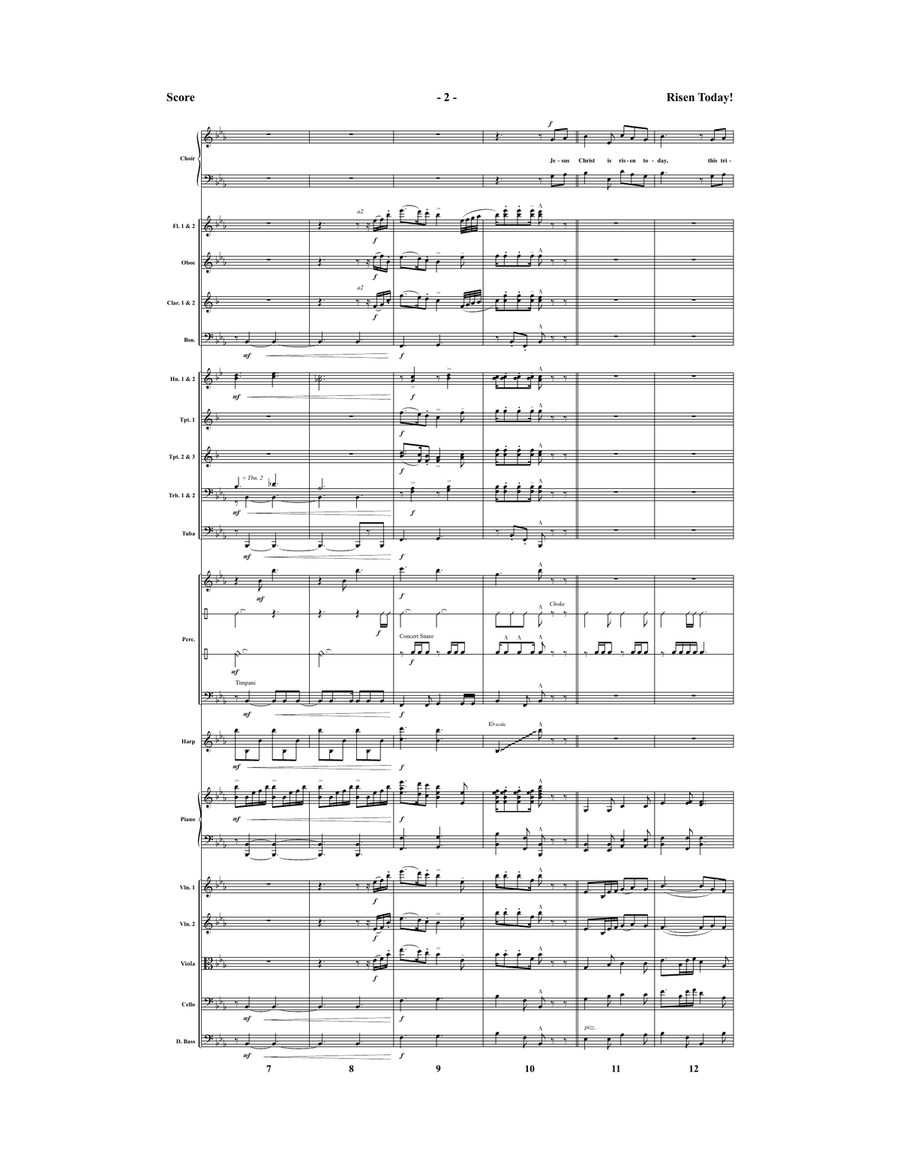 Risen Today! - Downloadable Orchestral Score and Parts Score scores gallery preview page 3