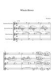Whistle - Blower - Recorder Quartet mini preview