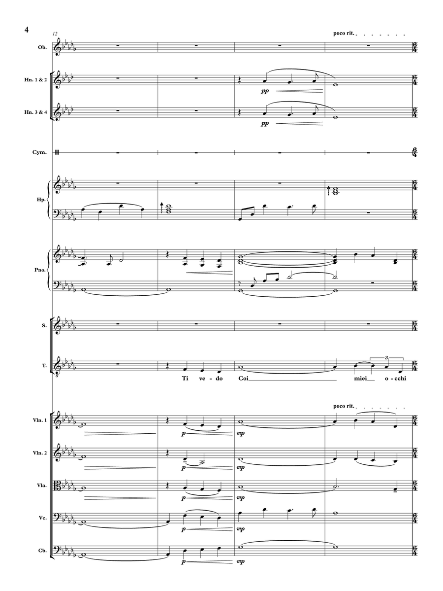 E Piu Ti Penso Chamber Orchestra scores gallery preview page 5