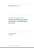 Sonata para Violín No.3 (Primer Movimiento)-Beautiful things Op.11 No.4
