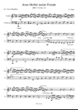Jesus joy of man's desiring - Violin and Cello duet