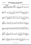 Tchaikovsky - Swan Lake, Op. 20, Act II, No. 10 - LEAD SHEET
