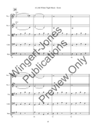 A Little Winter Night Music String Orchestra scores gallery preview page 7