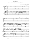 Bach Siciliano for Flute, Bassoon, and Harp