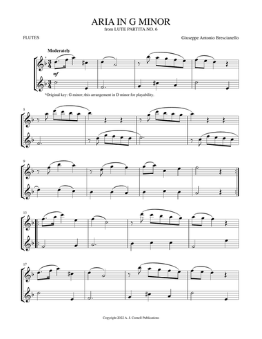 Aria in G Minor (from Lute Partita No. 6)
