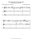 Z 30 (intrada) for String Trio