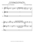 Z 32 (elegy) for String Trio