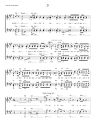 Don't Rain On My Parade SSAA scores gallery preview page 3