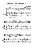 Introduction et Rondo Capriccioso