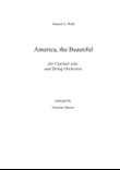 America, the beautiful