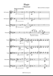 Elegy fro Massenet arranged for chamber orchestra and soloists