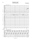 Nocturno, Op. 7 for Horn Solo and Orchestra