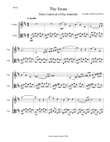 Camille Saint-Saëns - The Swan arr. for string duo