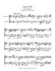 Angry Birds Theme