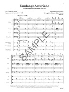 Fandango Asturiano From Capriccio Espagnol,Op34-Score String Orchestra scores gallery preview page 4