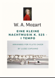 W.A. Mozart: Eine Kleine Nachtmusik K. 525 I Tempo (Flute choir)