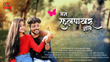 Man phulpakharu zale