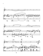 Merry-go-round Of Life Flute Solo scores gallery preview page 6